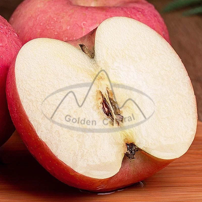 A Grade Food Grade Fresh Apple Red Apples