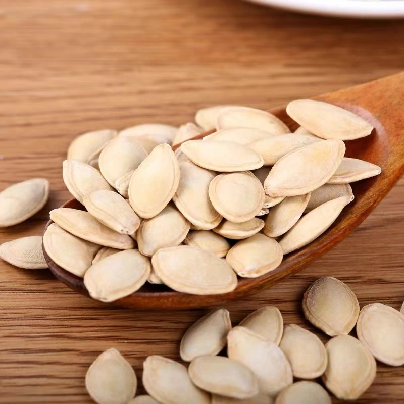 Shine Skin Pumpkin Seeds in Shell China Origin in High Quality