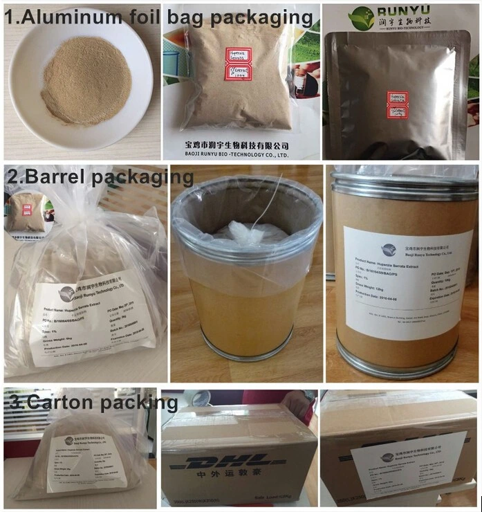 CAS 4547-24-4 HPLC 1%-98% Corosolic Acid 2-a-Hydroxyursolic Acid Barnabas Extract Powder