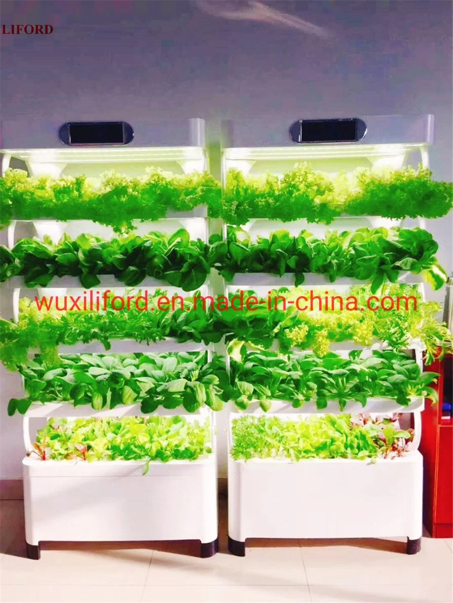 House Vegetable Planting Hydroponics Growing System Soilless Cultivation