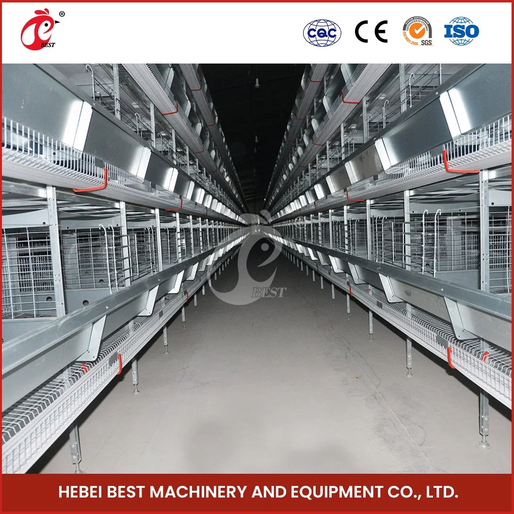 Bestchickencage H Type Layer Cage China Plastic Battery Chicken Layer Cage Factory OEM Customized Large Laying Cages for Free Range Chickens