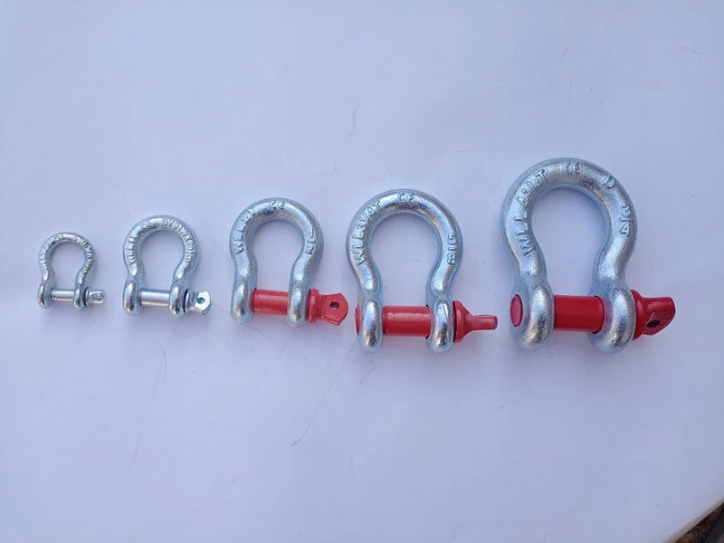 Factory Price Rigging Hardware Stainless Steel A2-70 A4-80 Lifting Anchor Screw Pin Chain D Shackle