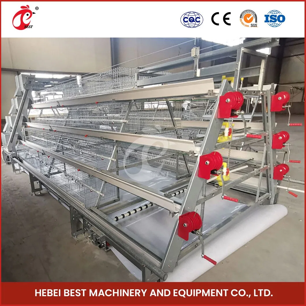 Bestchickencage a Type Chicken Pullet House Cage Breeder Cage China Brooder Chicken Huts Supplier OEM Customized Competitive Price Brooder Battery Cages