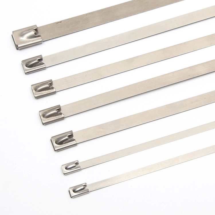 Self-Locking 304 Stainless Steel Straps (Naked)