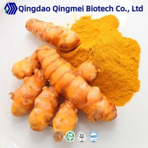 Turmeric Root Extract Water/Oi-Soluble Curcuminoids