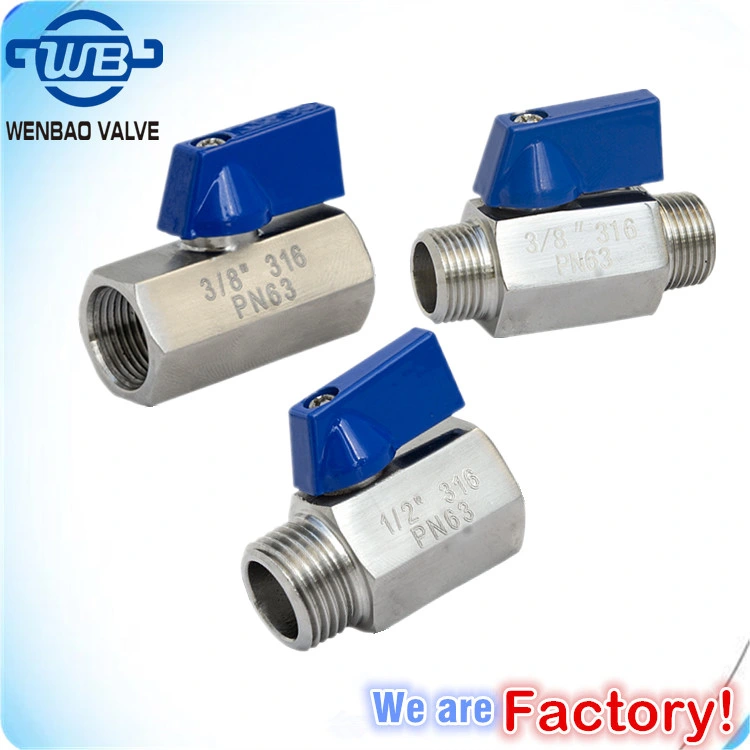 Male Threaded SS304 SS316 Butterfly Handle External Thread Stainless Steel Brass Mini Ball Valve for Hose and Pipe