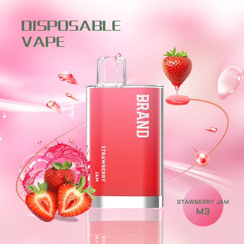 Prix usine cigarette électronique jetable 600puffs 500mAh batterie Vape Box Pour ODM OEM