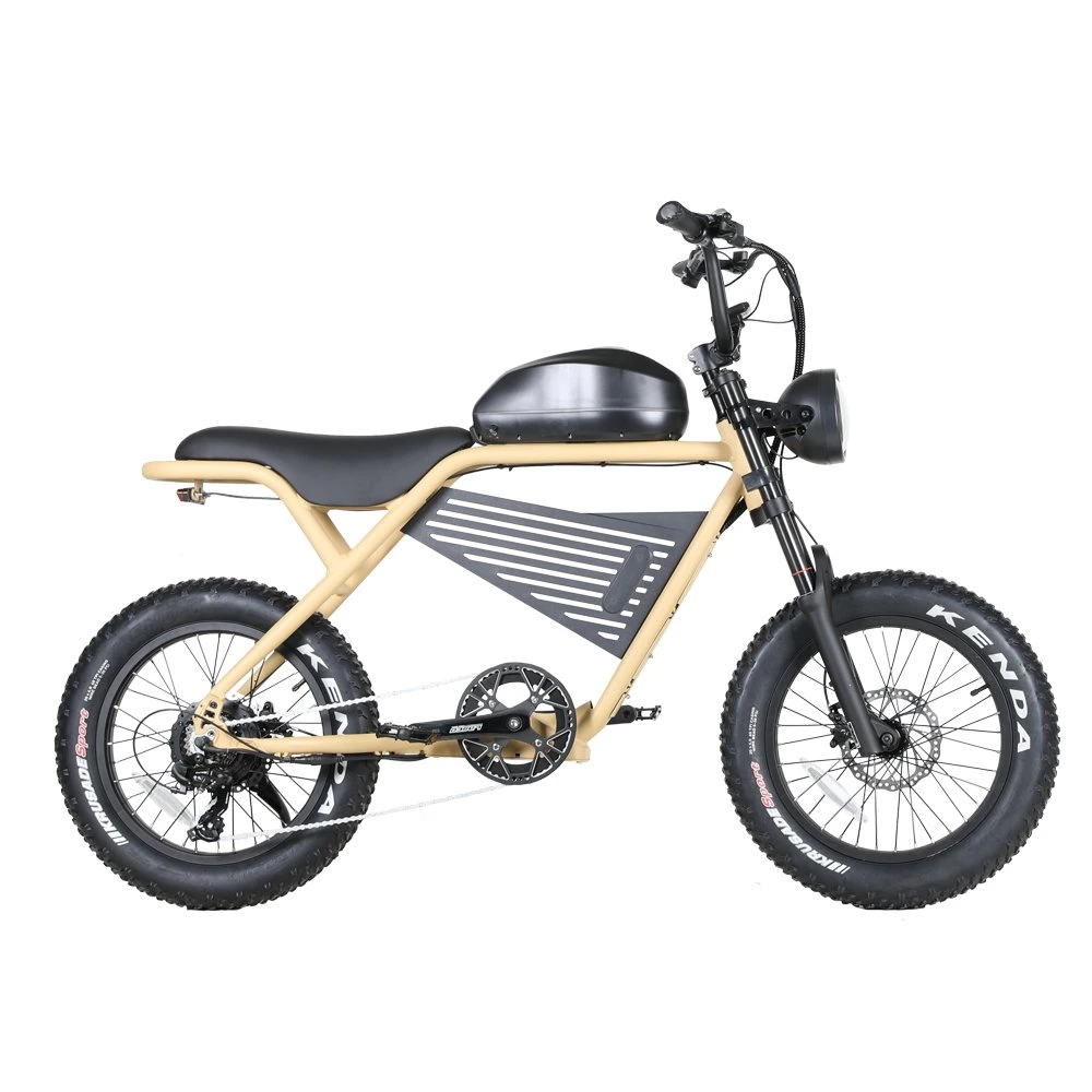 2023 Electric Motorcycle Style Vintage Ebike 48V 500W 750W Suspension Retro Electric Bike