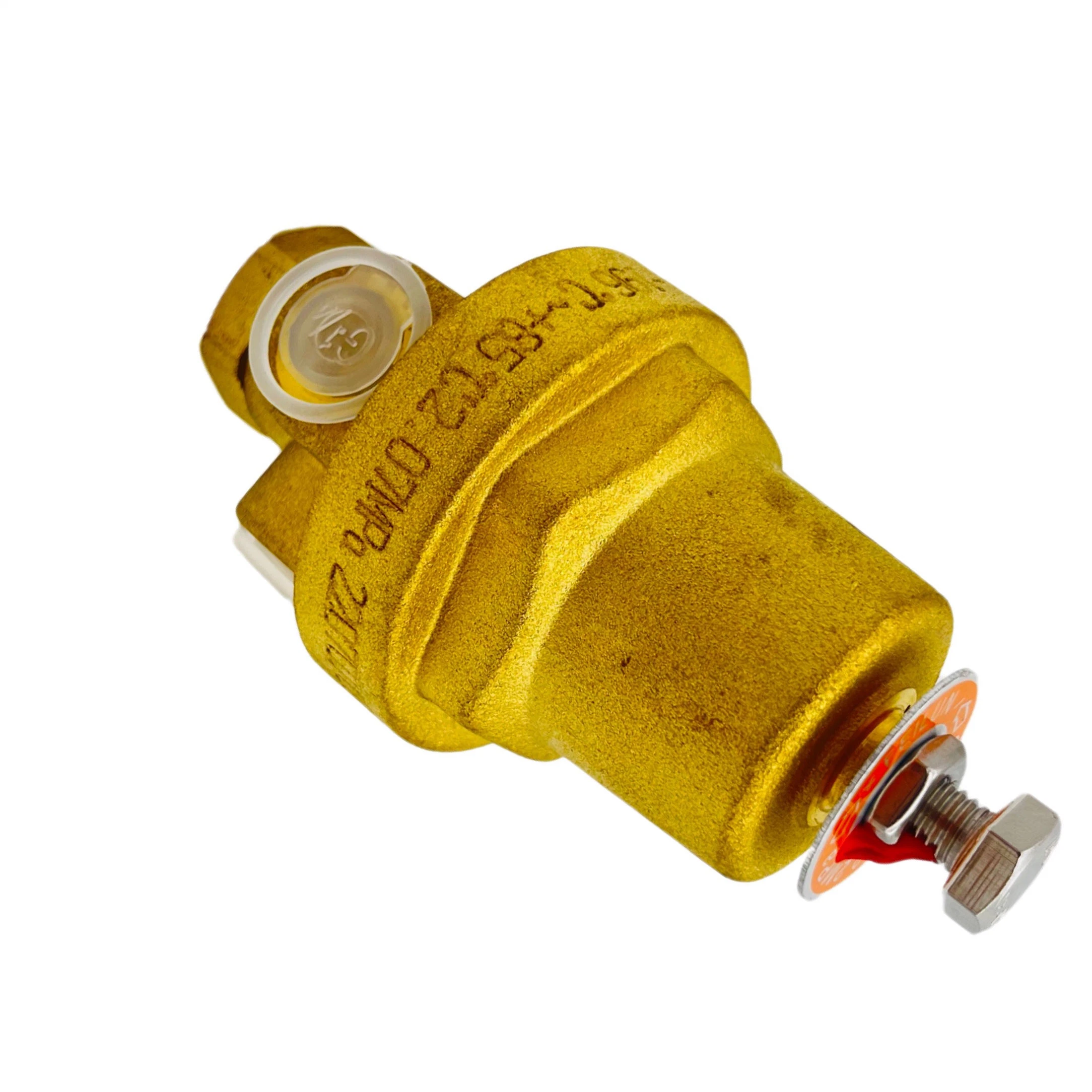 Feilun Dyz-06c Brass Low Temperature Cryogenic Combination Pressure Regulator