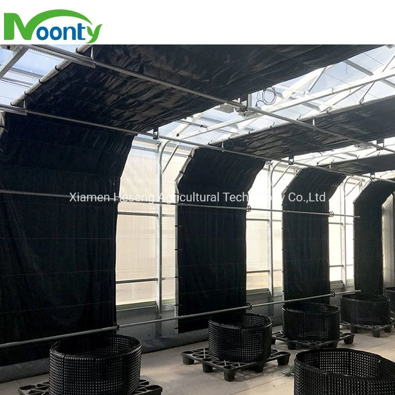 Kommerzielle Single Span Easy Tunnel Blackout Greenhouse 100% Shading Light Deprivation System Gewächshaus mit LED wachsen Licht