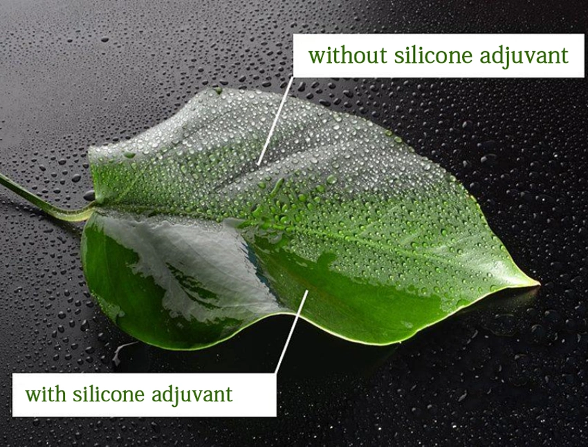 Herbicide Adjuvant for Bispyribac Sodium Sc Surfactant Weedkiller Spray Herbicidal Additive CAS 68002-97-1