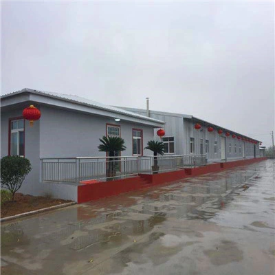 Commercial Building Steel Structure Poultry Farm Shed Design Egg Chicken House for Layers