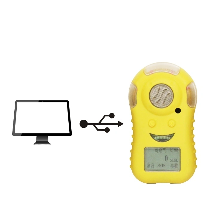 Hochempfindlicher tragbarer Gasüberwachungsdetektor für Wasserstoffsulfid (H2S)