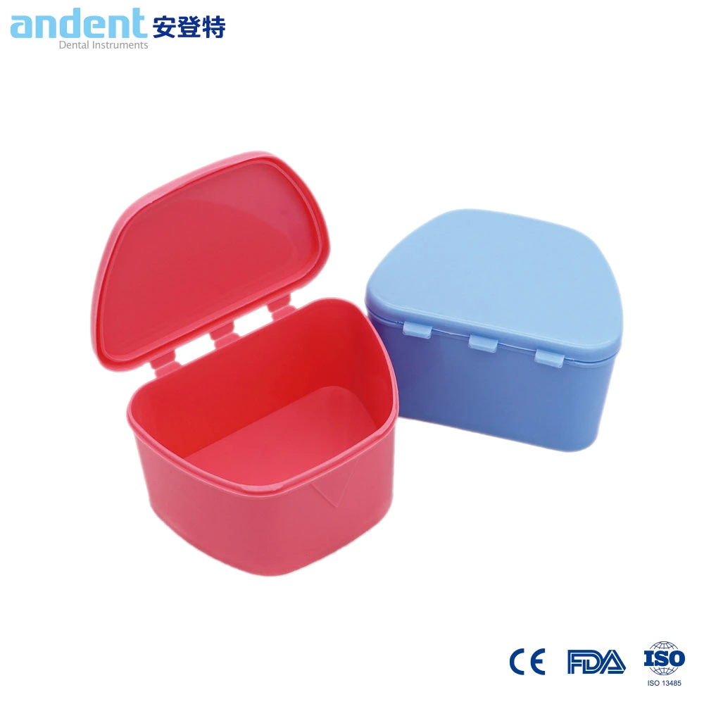 PP Dental Case Denture Storage Container Box