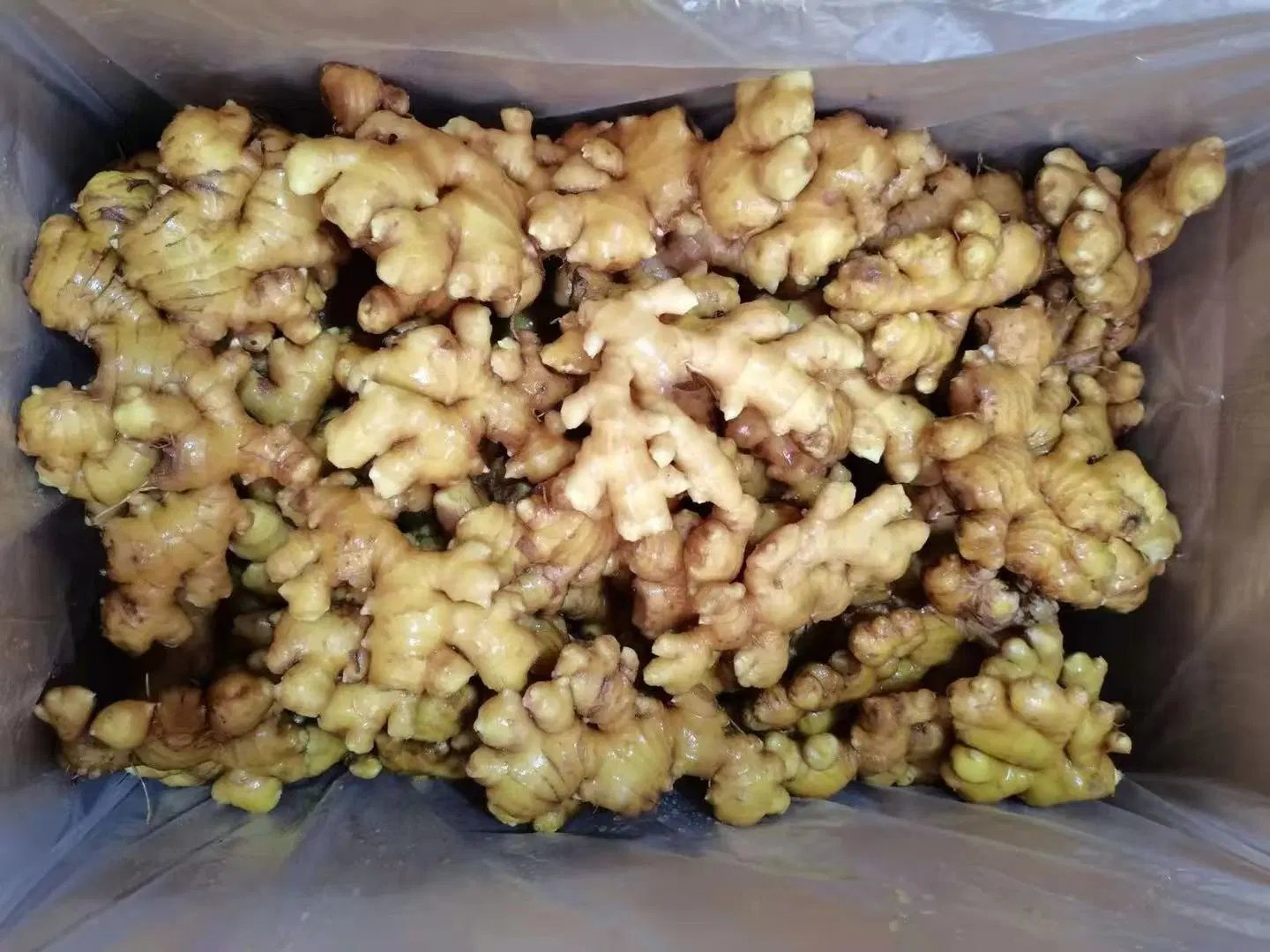 2022 Fresh Yunnan Yellow Ginger 10kg Packaging in a Carton with 40 RF Container Best Quality and Competitive Price