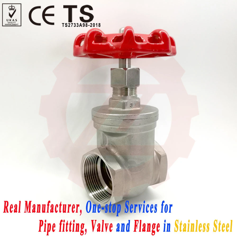 316L Pn10 10bar Swing Check Valve for Fuel Line