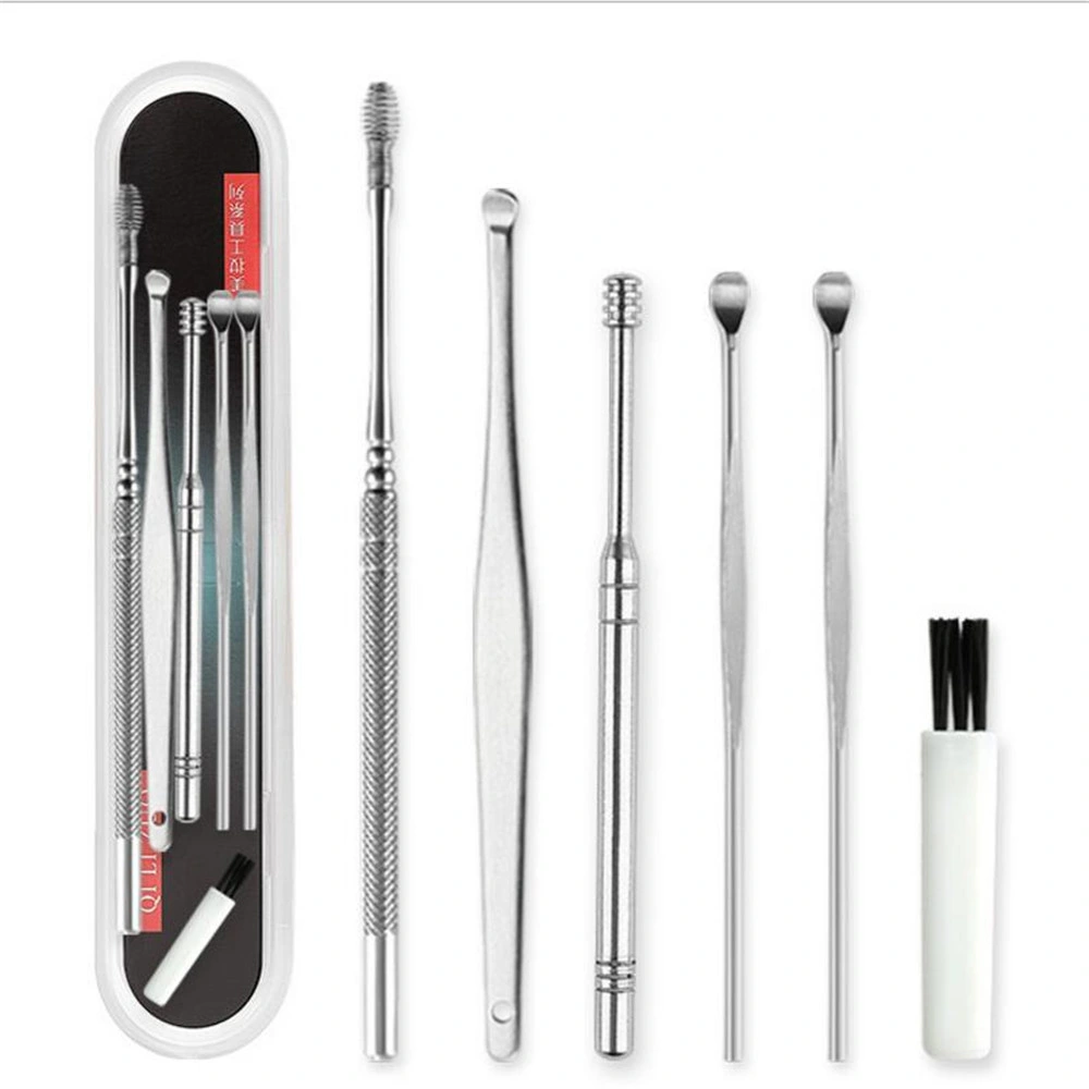 Stainless Steel Ear Cleaner Tool Earpick Set