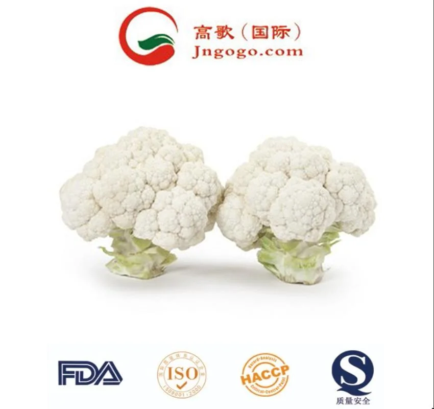 China Exporta Coliflor Fresca al por Mayor