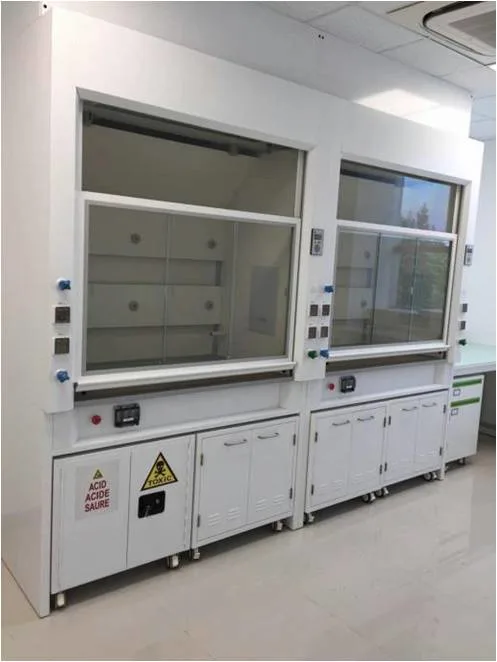 Full Steel Laboratory Fume Cupboard Lab Chemical Fume Hood