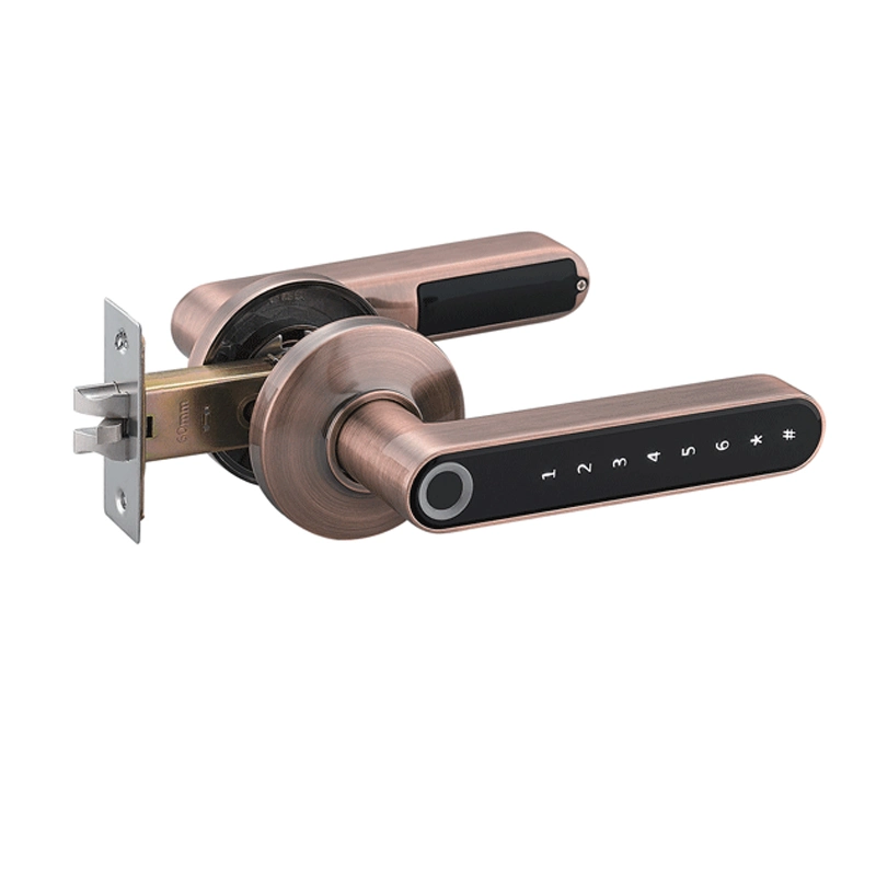 Single Latch 60-71 Adjustable Rossette Smart Door Lock