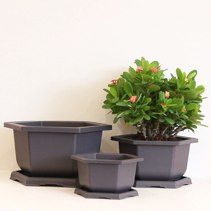 Chinese Factory Directly Wholesale/Supplier New Hexangular Bonsai Pot for Training Plants