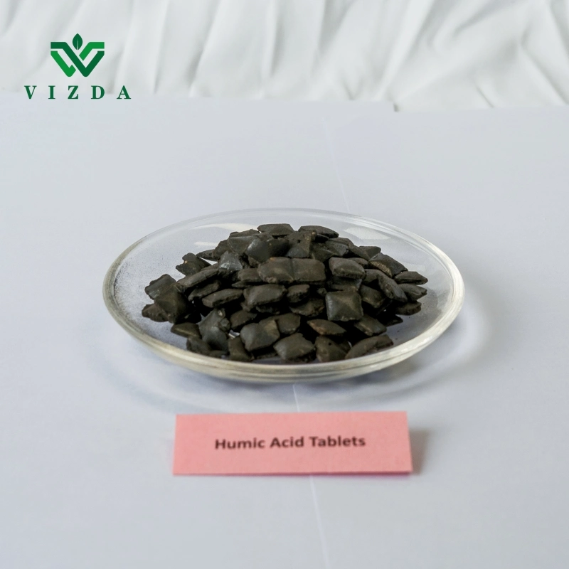 Organic Humic Acid Soluble Fertilizer Granular/Tablet