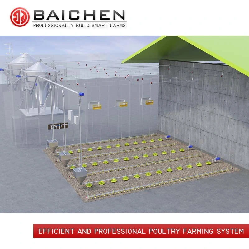 Hühnerfuttersystem Broiler-Aufzuchtränke für Geflügelhaus