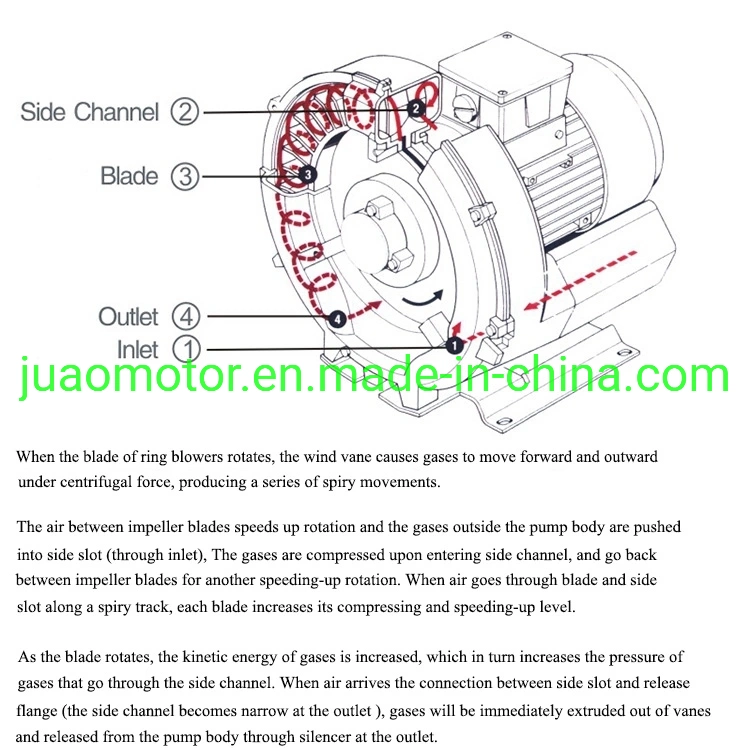 Motors Single Three Phase AC DC Air Pump Centrifuge Roots Blower