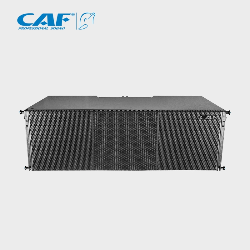 Passive Dual 12inch Concert Full Range Line Array Audio Speaker Box