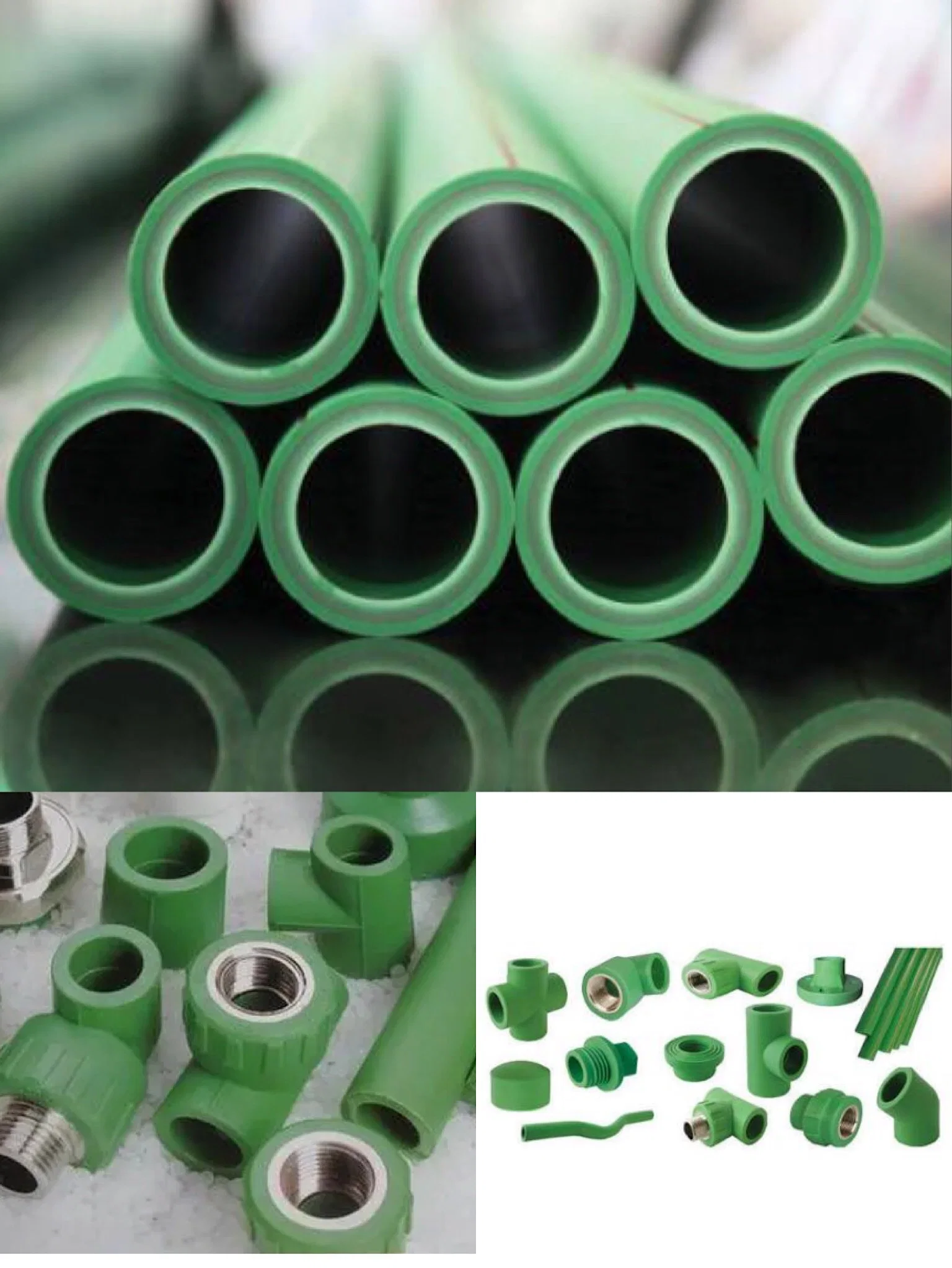 DN20mm/DN25mm/DN32mm PPR Pipe Fitting with Good Factory Price