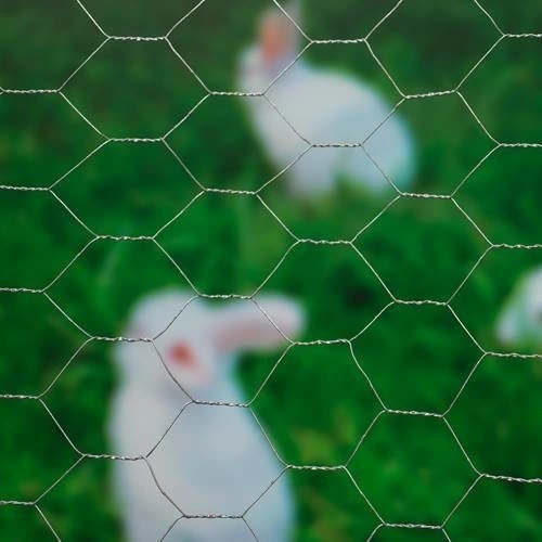 PVC Coated Iron Wire Chicken Net Cheap Hexagonal Mesh Fence Roll