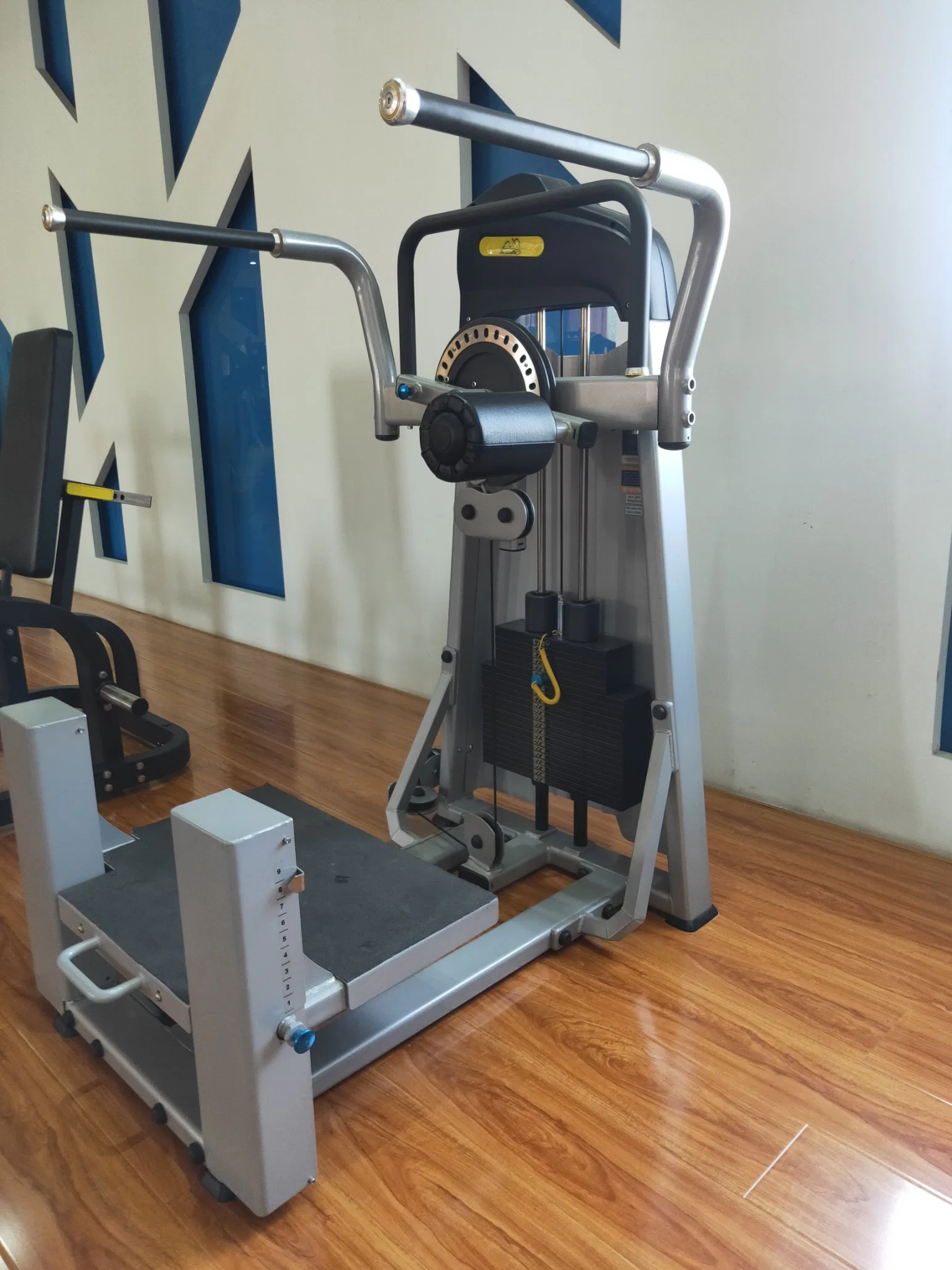 Fábrica de Dezhou Gym Fitness Multi-Hip equipamiento para uso comercial (AXD-5011A/B)