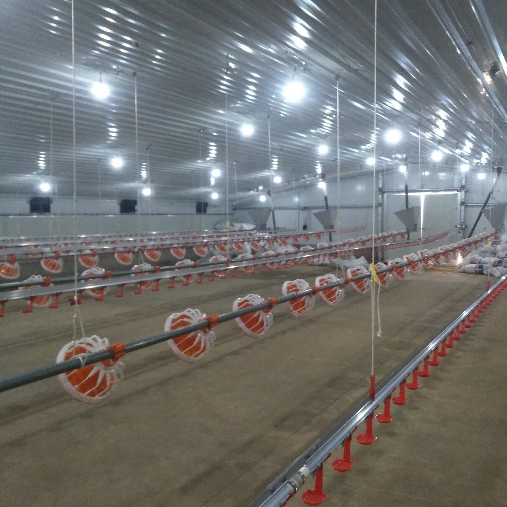 Sistema automático de la cría de pollos Equipo para avicultura Equipo para la granja avícola