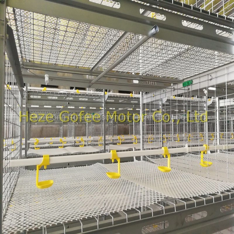 Cage de poulets de chair en usine et l'eau de l'équipement d'alimentation Autiomatic Cage de poulet Syetem Poultry Equipment