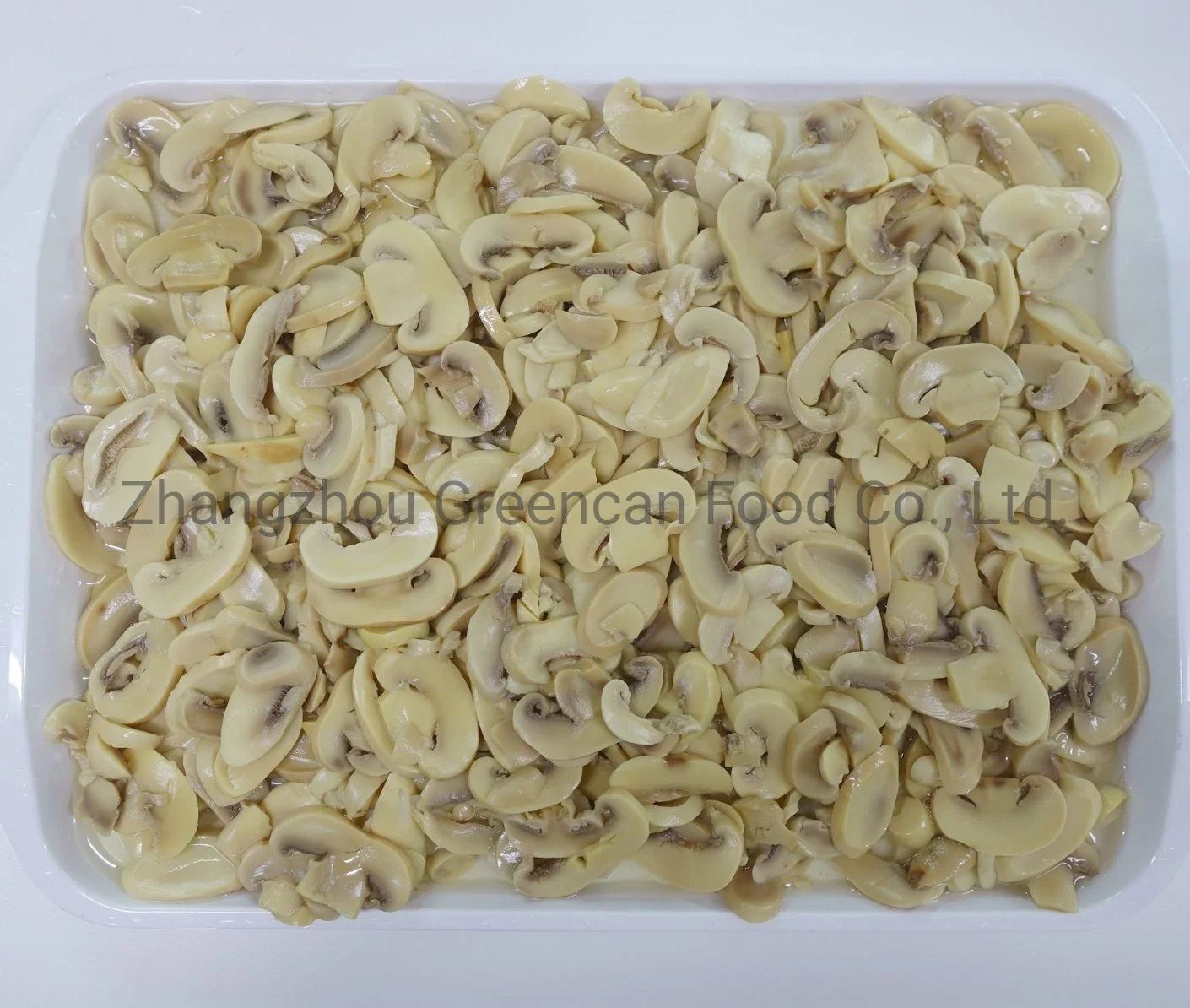 Canned Food Fresh Champignon Mushroom Whole From Manufacturer