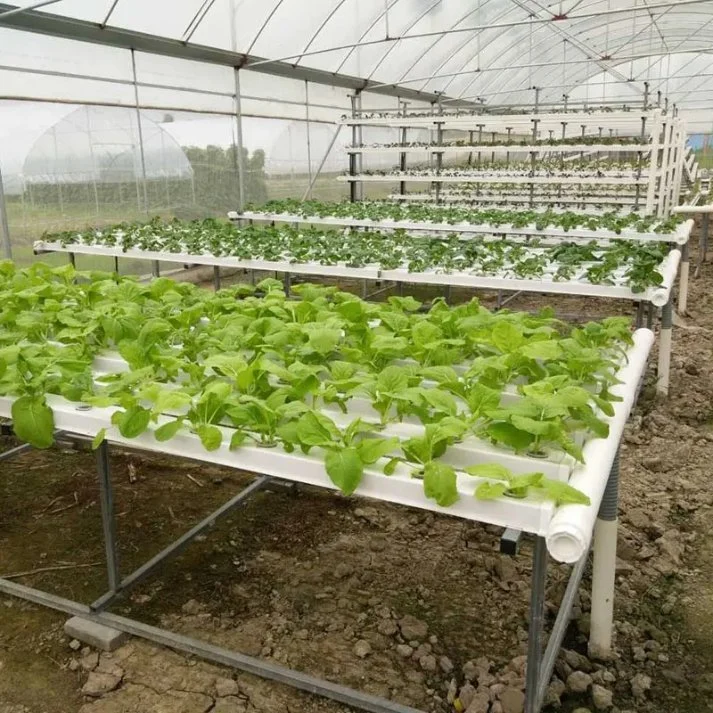 G&amp;N NFT Hydroponics PVC-Kanal für hydroponisches Anbchsystem Landwirtschaft Gewächshäuser