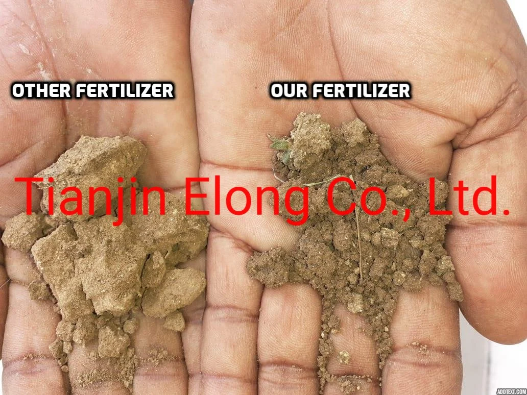 Peptide Organic Compund Fertilizer for Vegetables