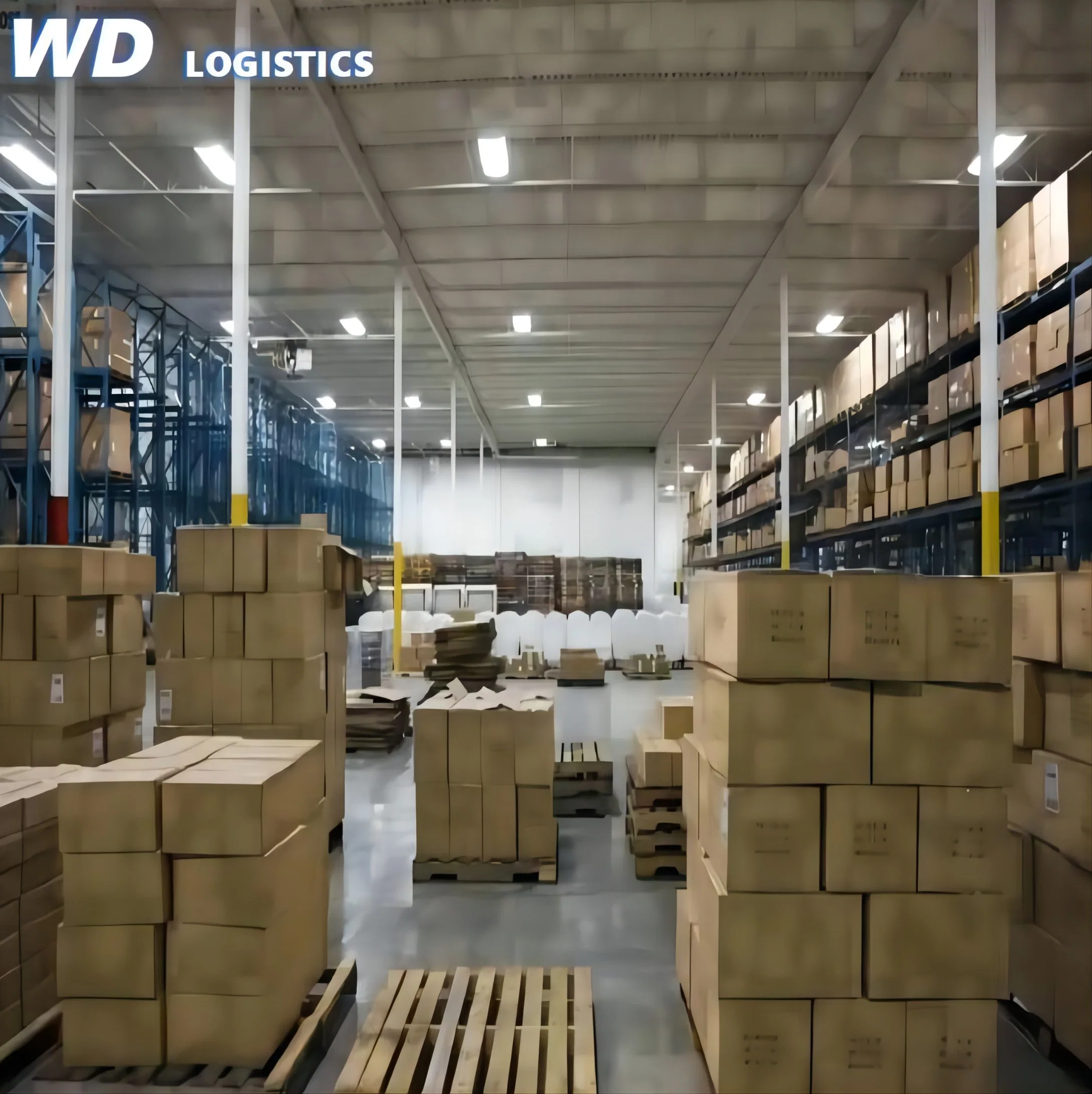 Double Clear Logistics DHL UPS EMS FedEx Express Forwarder From China to Southeast Asia Vietnam, Thailand, Laos, Philippines, Brunei, Singapore