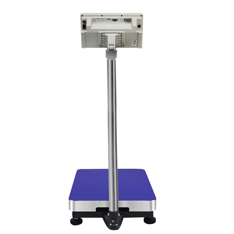 30-500kg Gw2 Waterproof Weighing Platform Scale Stainless Steel LED Indicator Bench Scale