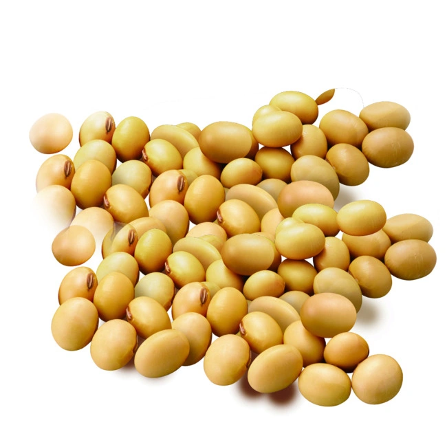 Soybean Extract Phosphatidyl Serine Phosphatidylserine PS 70% Soybean Protein 60%-90% Beta Sistosterol 40%-80%