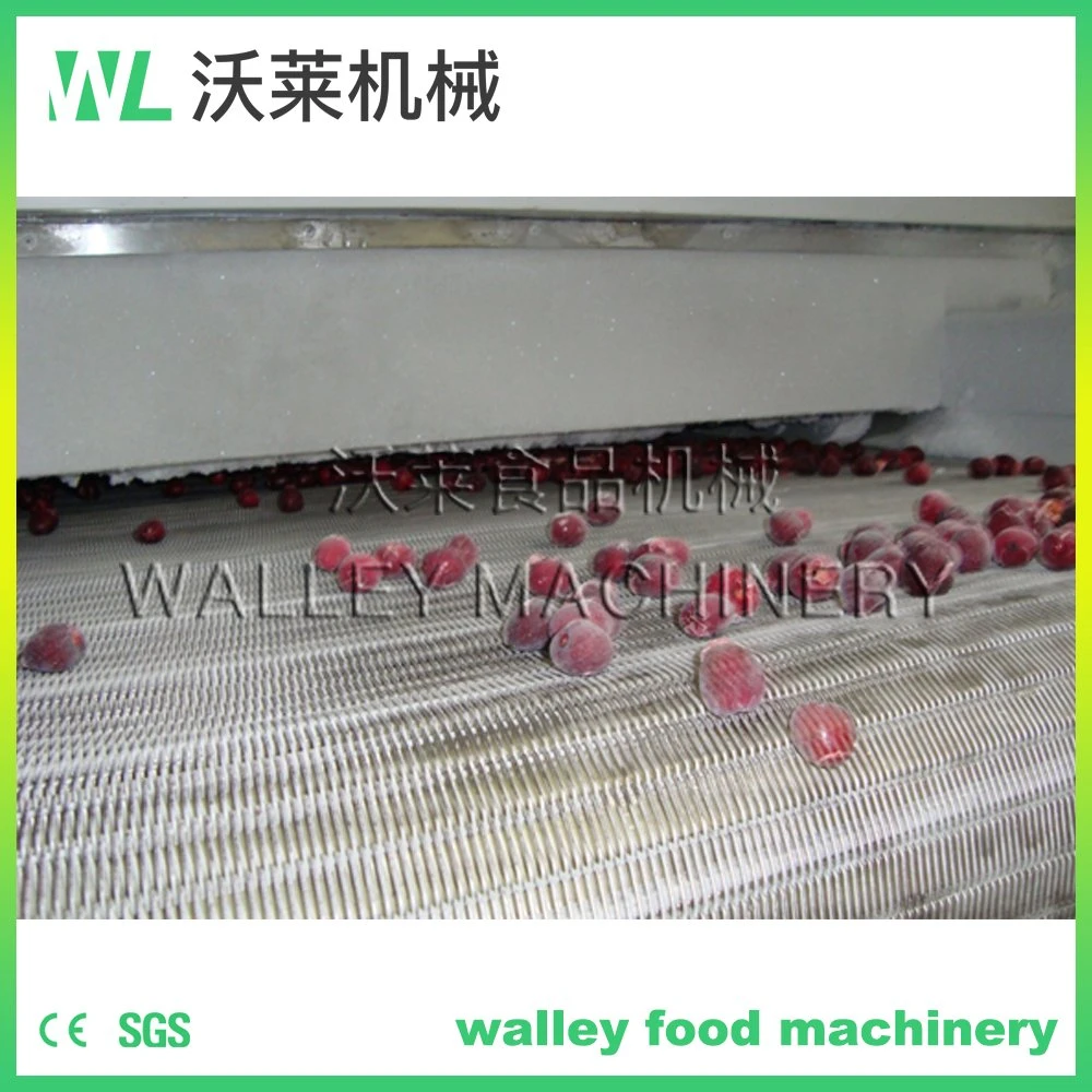 China High quality/High cost performance  Blast Freezer Cold Storage Freezer Room for Meat Vegetable