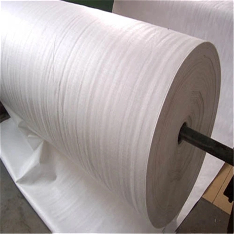 Filament Non Woven Geotextile Fabric for Road Recycled Pet Geomembrane