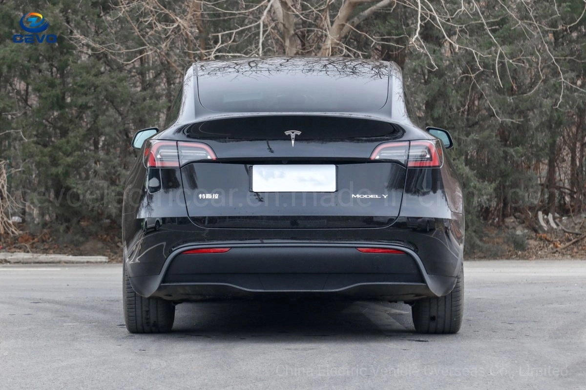 Smart Low Cost Luxurious Autopilot Best Range New Energy Stock Elon Musk Cheapest Efficiency Electric Vehicles EV Model Y Electric Car for Sale