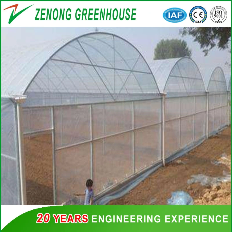 Poly Film Overwintering Vegetable Greenhouse for Tomato/Green Cucumber/Flower Cultivation/Ecological Hotel