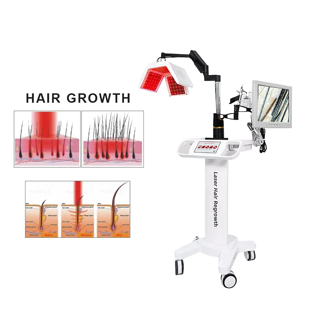 Regrowth Anti Hair Loss Alopecia Areata Low Level Laser Light Therapy for Hair Growth