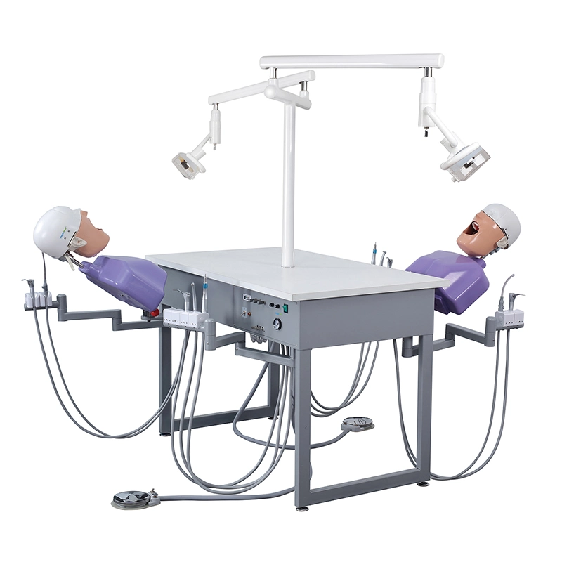 Pre-Clinic Teaching Supply Dental Simulator Dentistry Phantom Head Torso Model