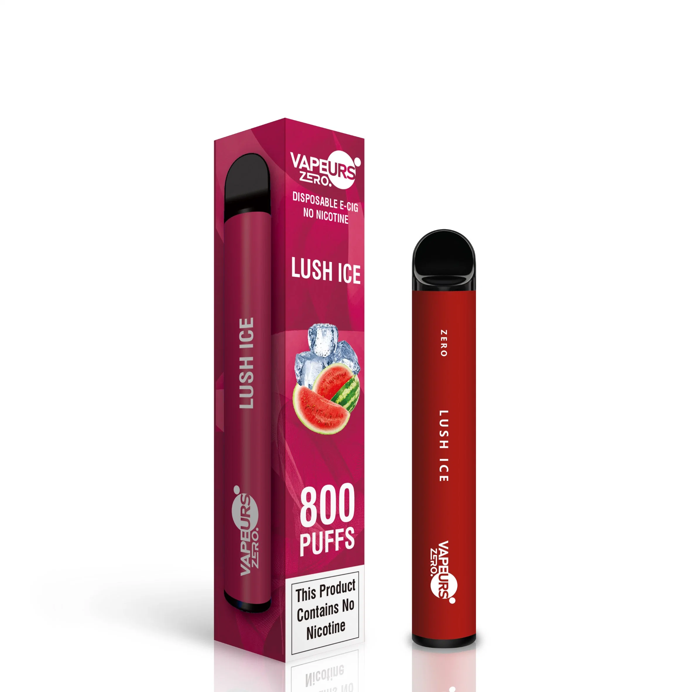 Vapeurs simple usage unique Vape Disposable/Chargeables E cigarette 600 700 800 Puffs Vape Pen Prix de gros