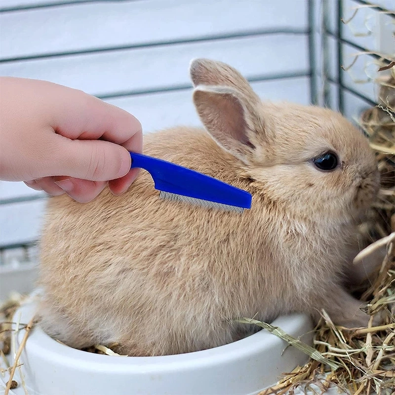 1PC Conejo Grooming Brush mascota pequeña pulga removedor de cabello Comb cepillo de baño de champú para el conejo Cuy Hamster la herramienta de limpieza