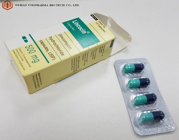 Finished Medicie Pharmaceutical Capsules Lincomycin Hydrochloride Capsules USP Bacteriostatic Antimicrobial