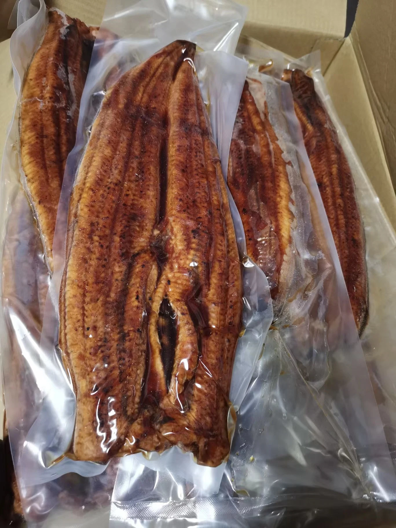 Frozen Headless Baked Eel High Quality